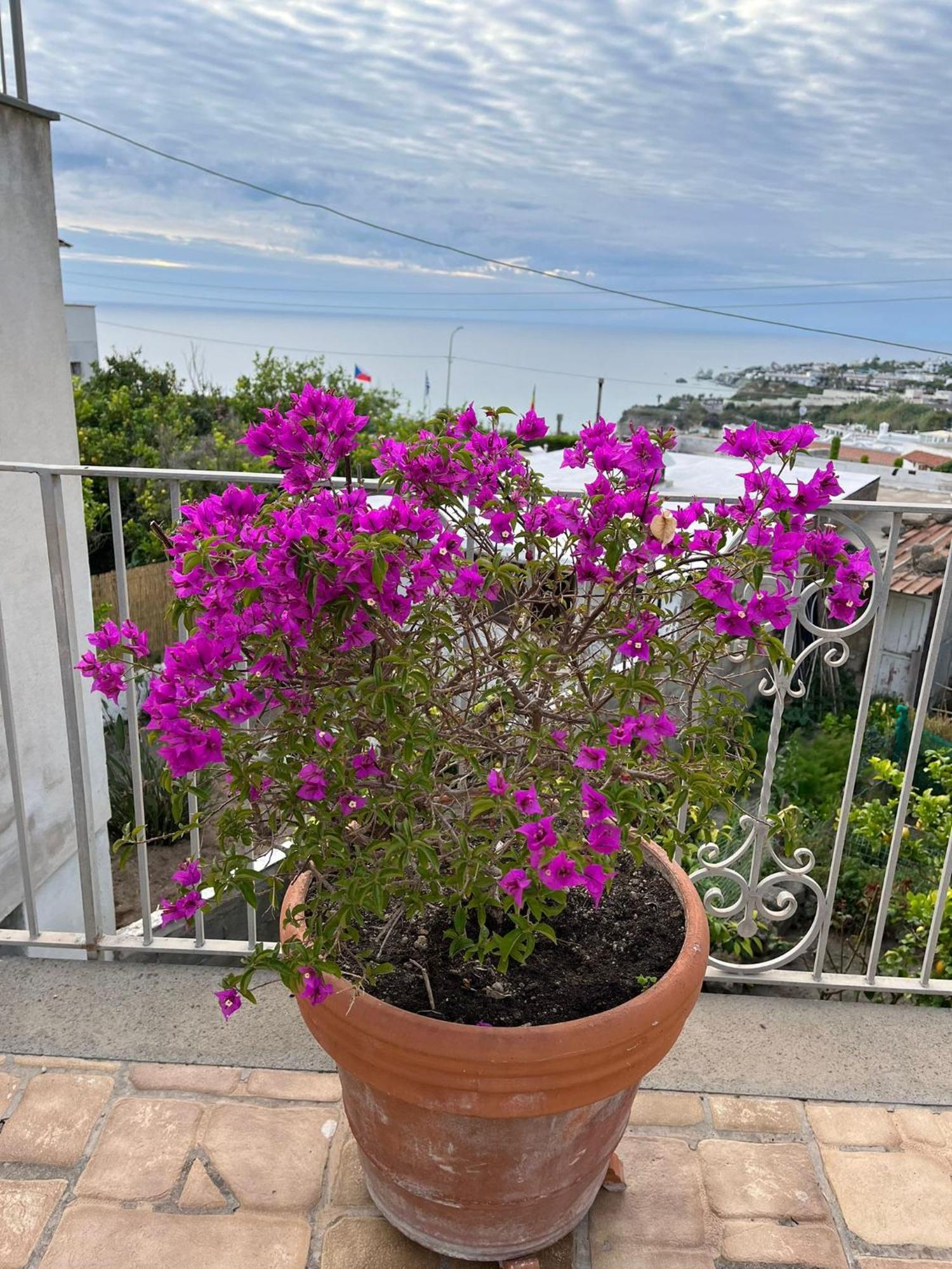 Chez Marie Ischia Villa Kültér fotó