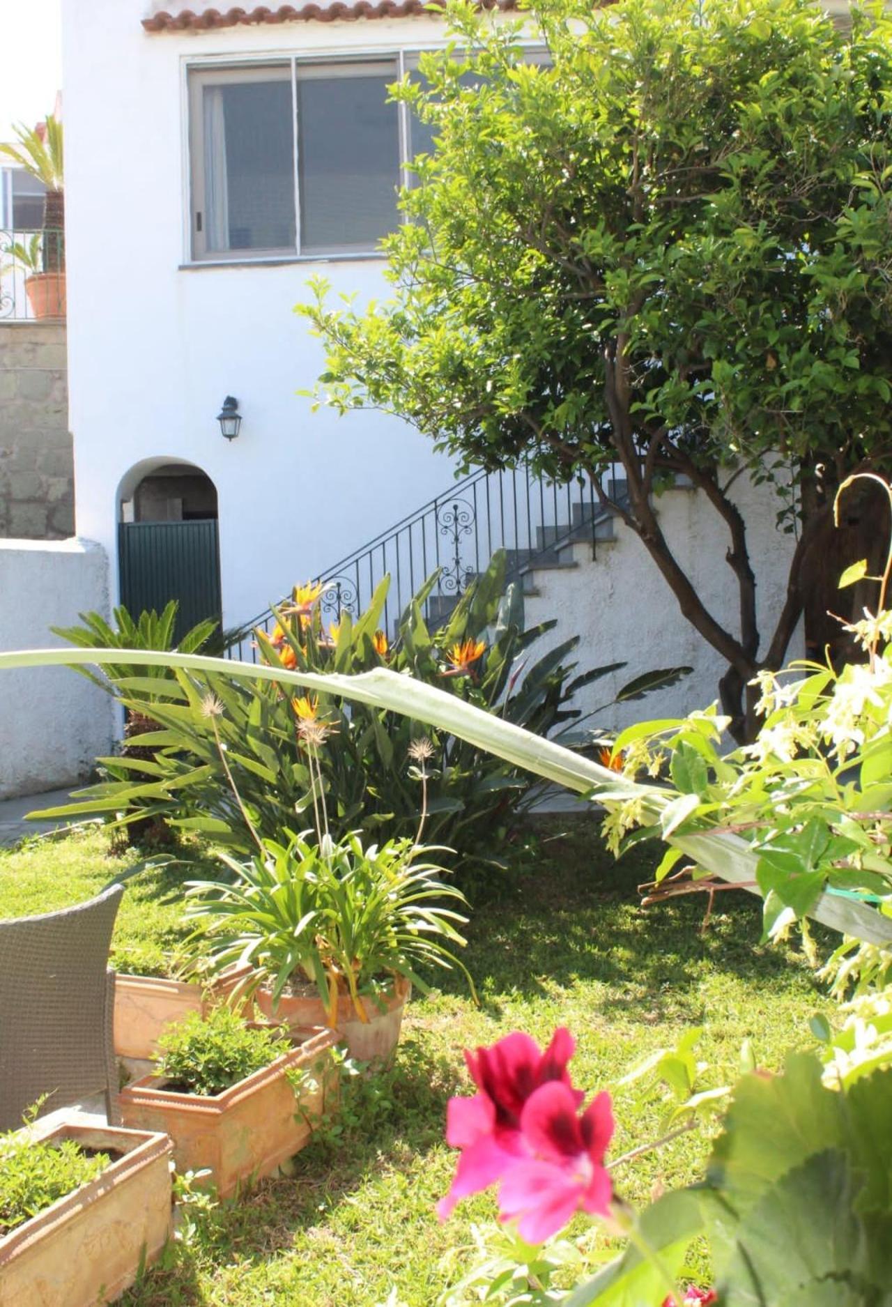 Chez Marie Ischia Villa Kültér fotó